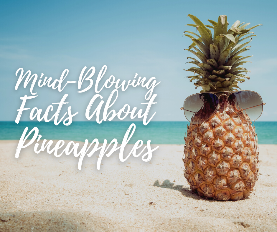 Here are some fun facts about pineapples.